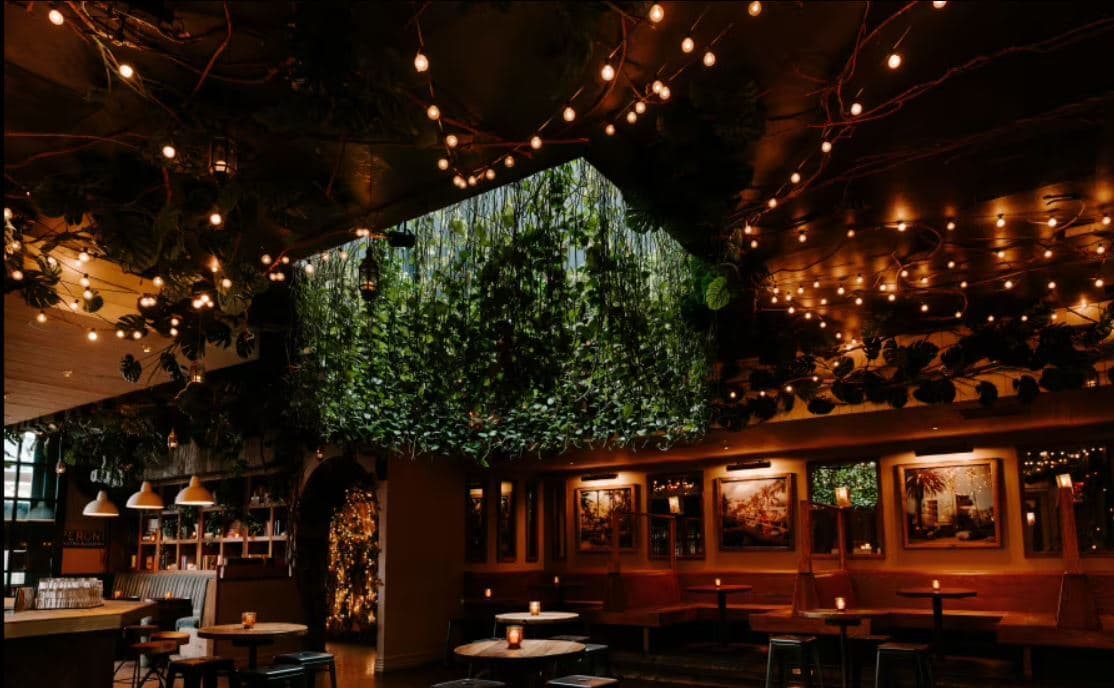 Common Ground Bar, Whole Venue photo #2