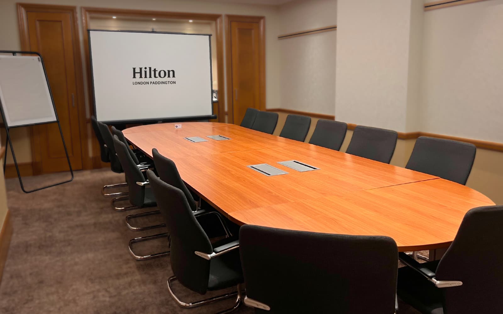 Hilton London Paddington, Kingfisher photo #2