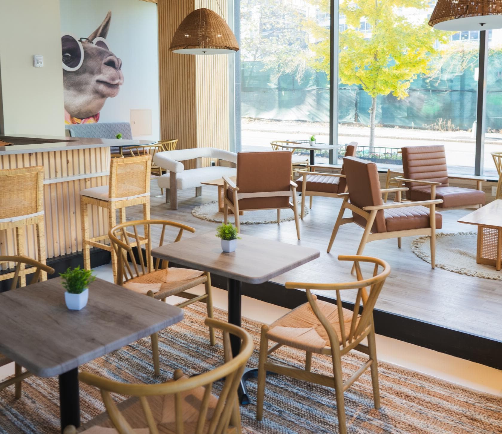 Event Space, LlamaBar Cafe photo #1