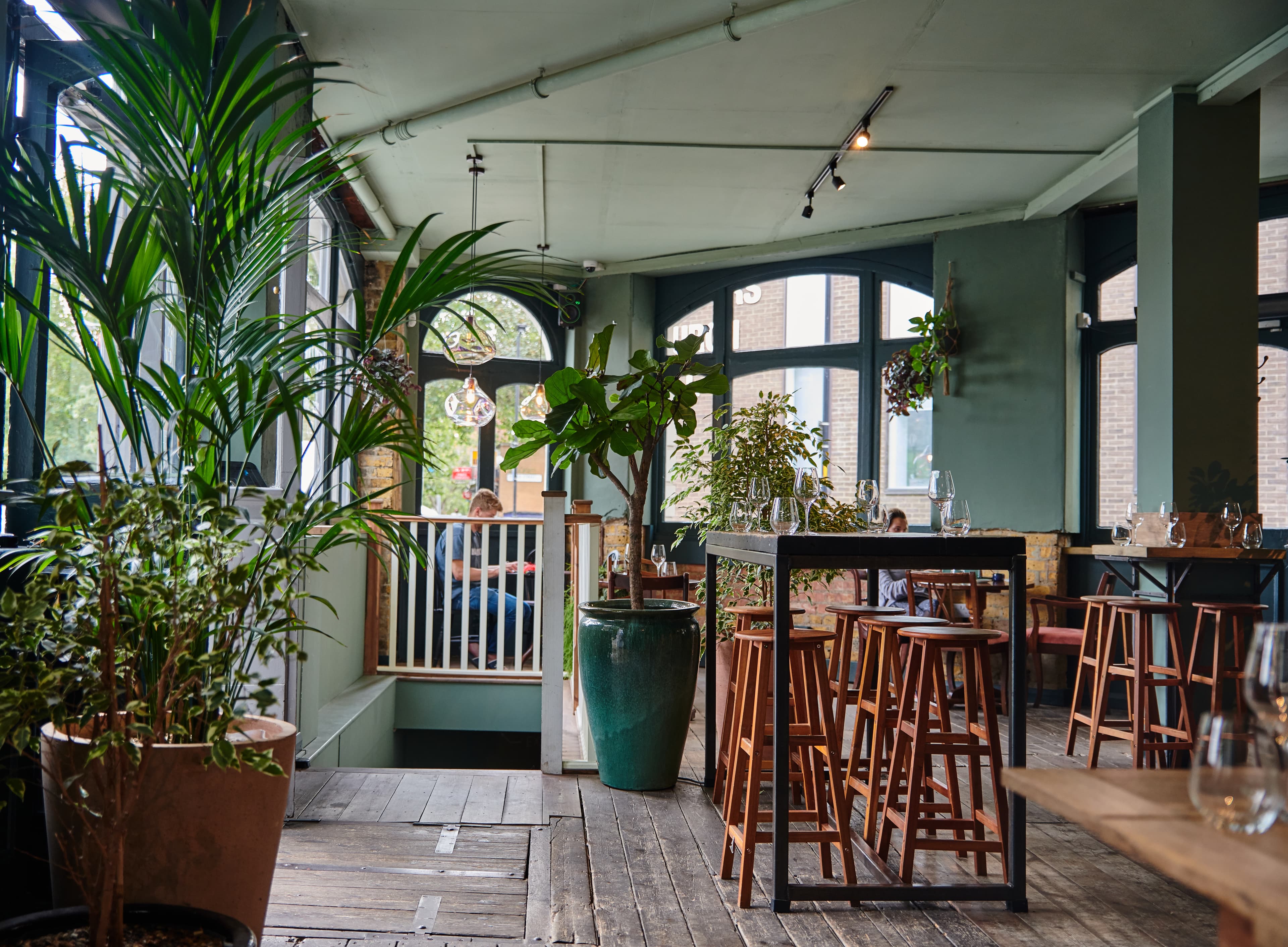 Full Venue, Diogenes The Dog photo #3