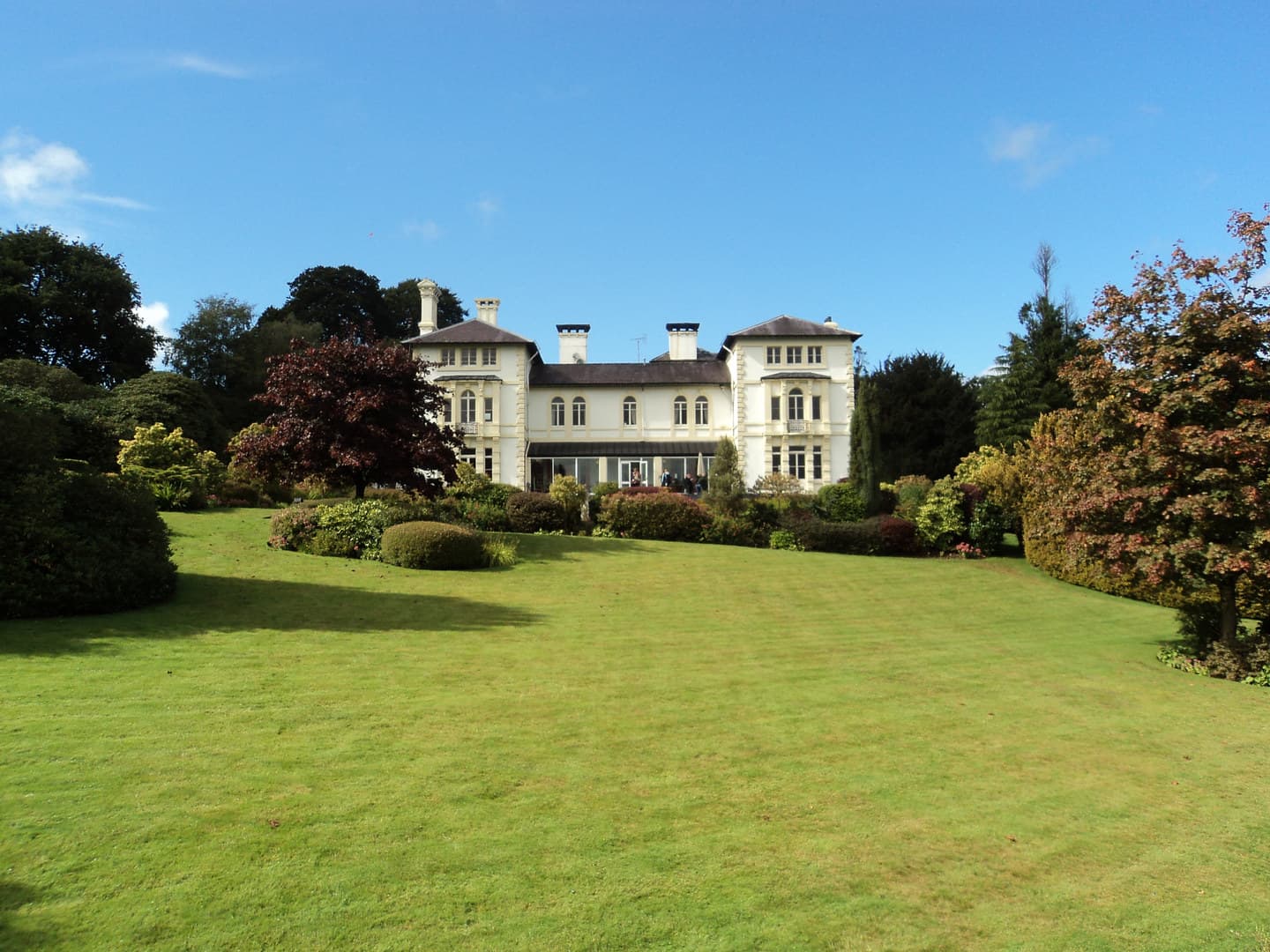 Harford Suite, Falcondale Hotel photo #2