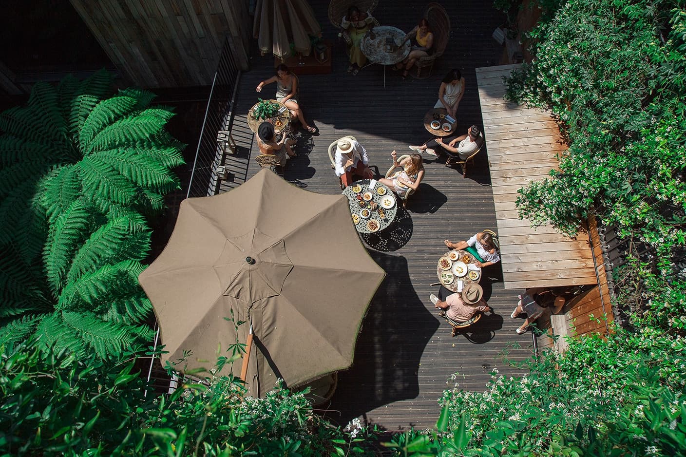 JUREMA Terrace, The Mandrake photo #4