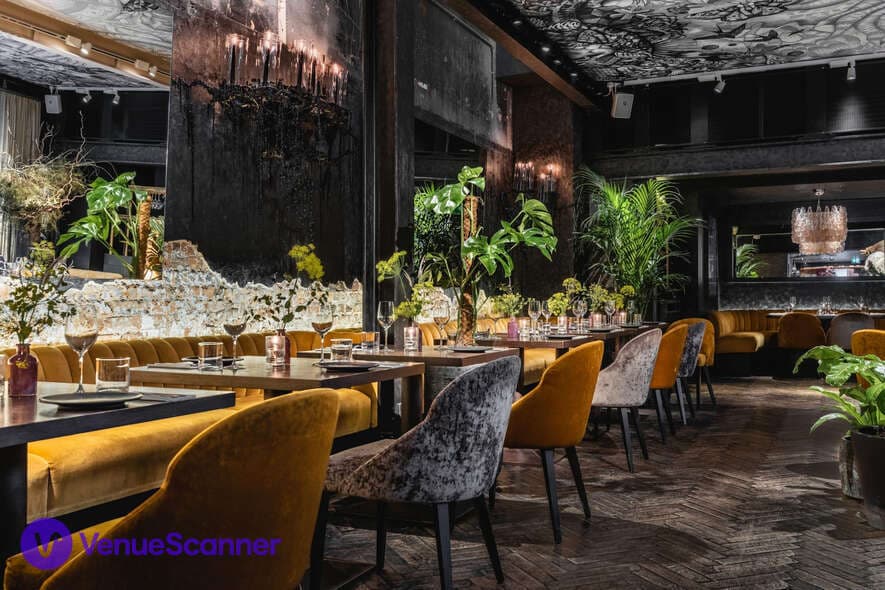 The Mandrake photo #3