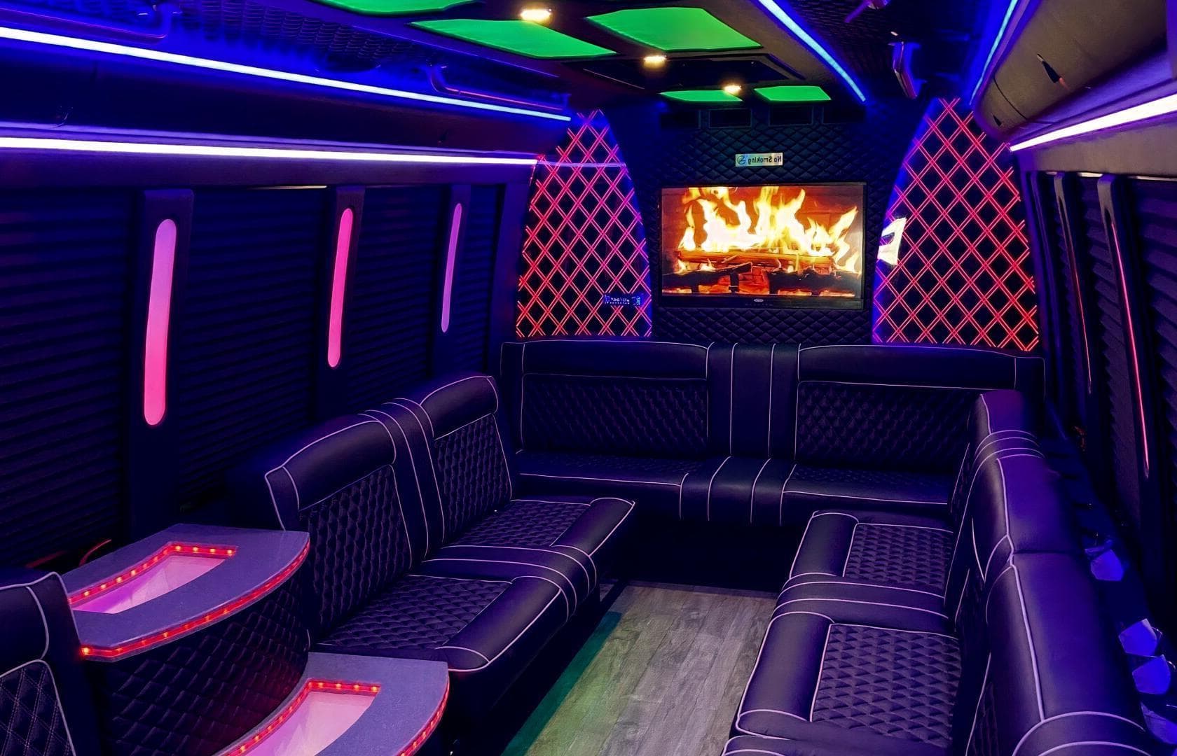 Paradise, GOGO Party Bus photo #1