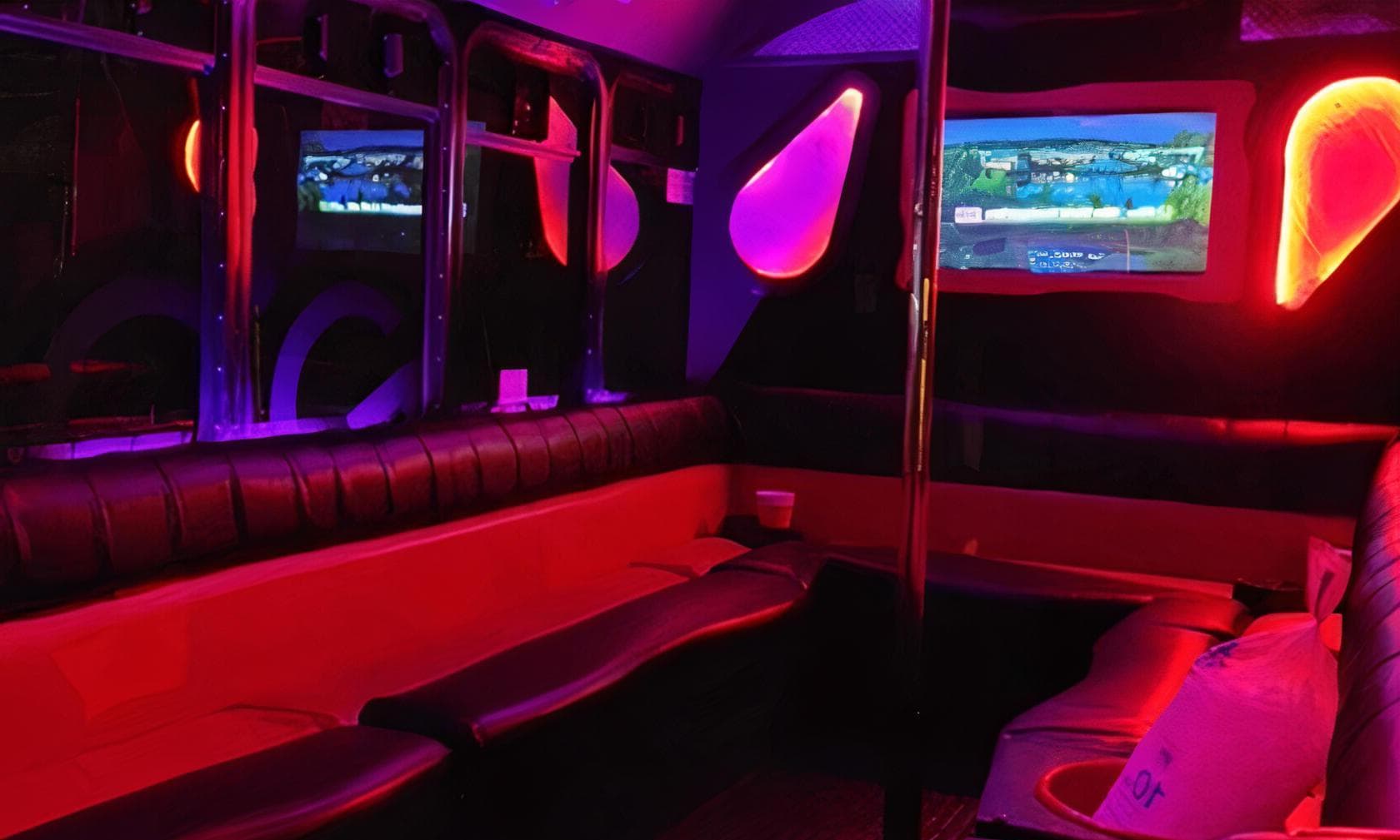 GoGo Express, GOGO Party Bus photo #1