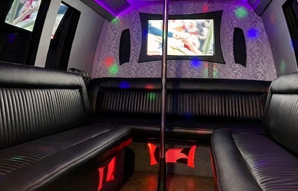 Diamond, GOGO Party Bus photo #1