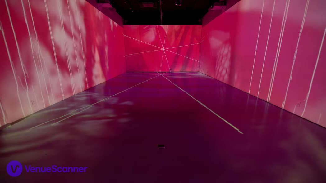 Immersive Studio, Lume Studios photo #2