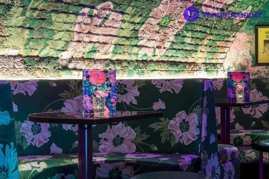 Green Rose Room, Blame Gloria Bristol photo #2