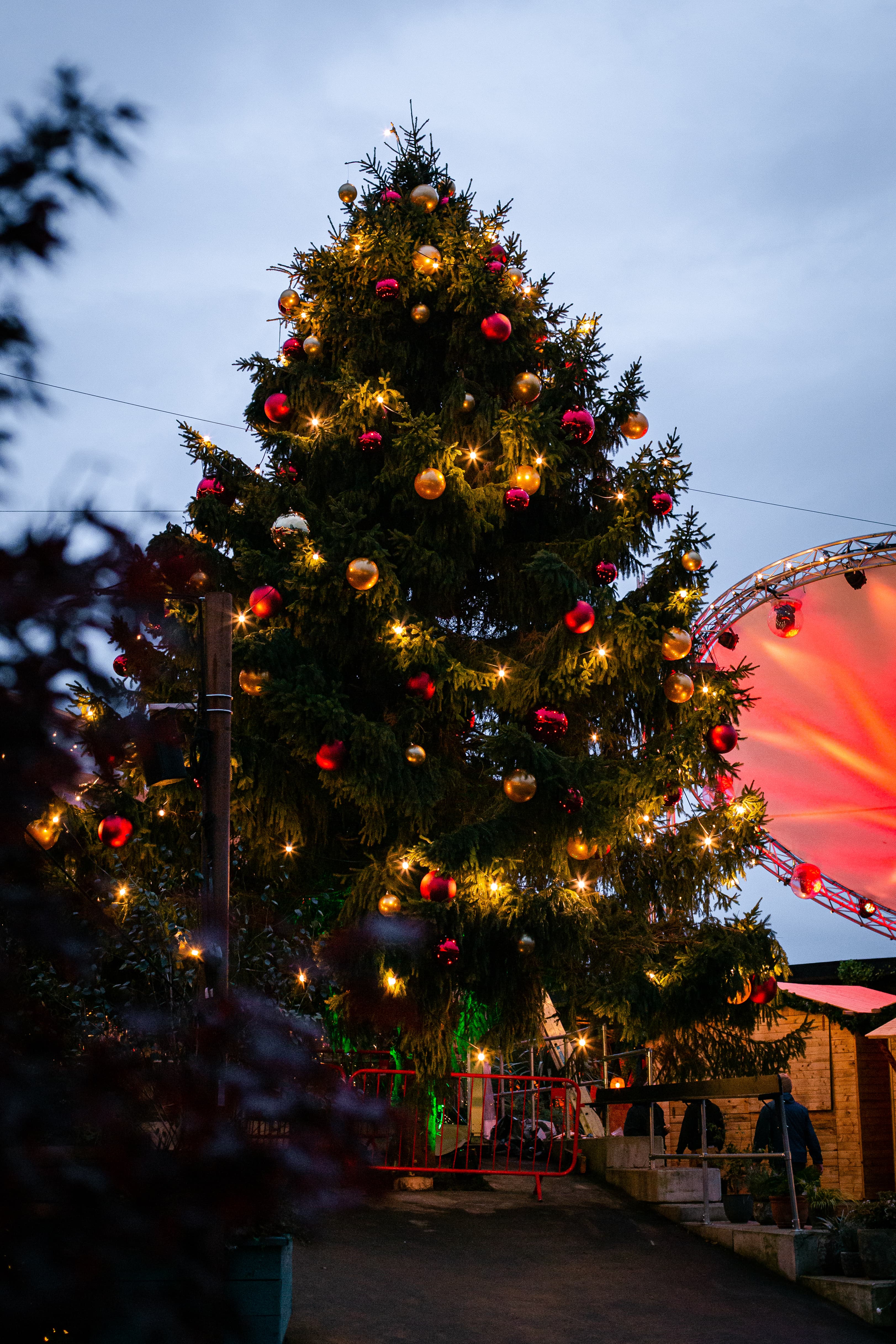 Freight Island photo #2