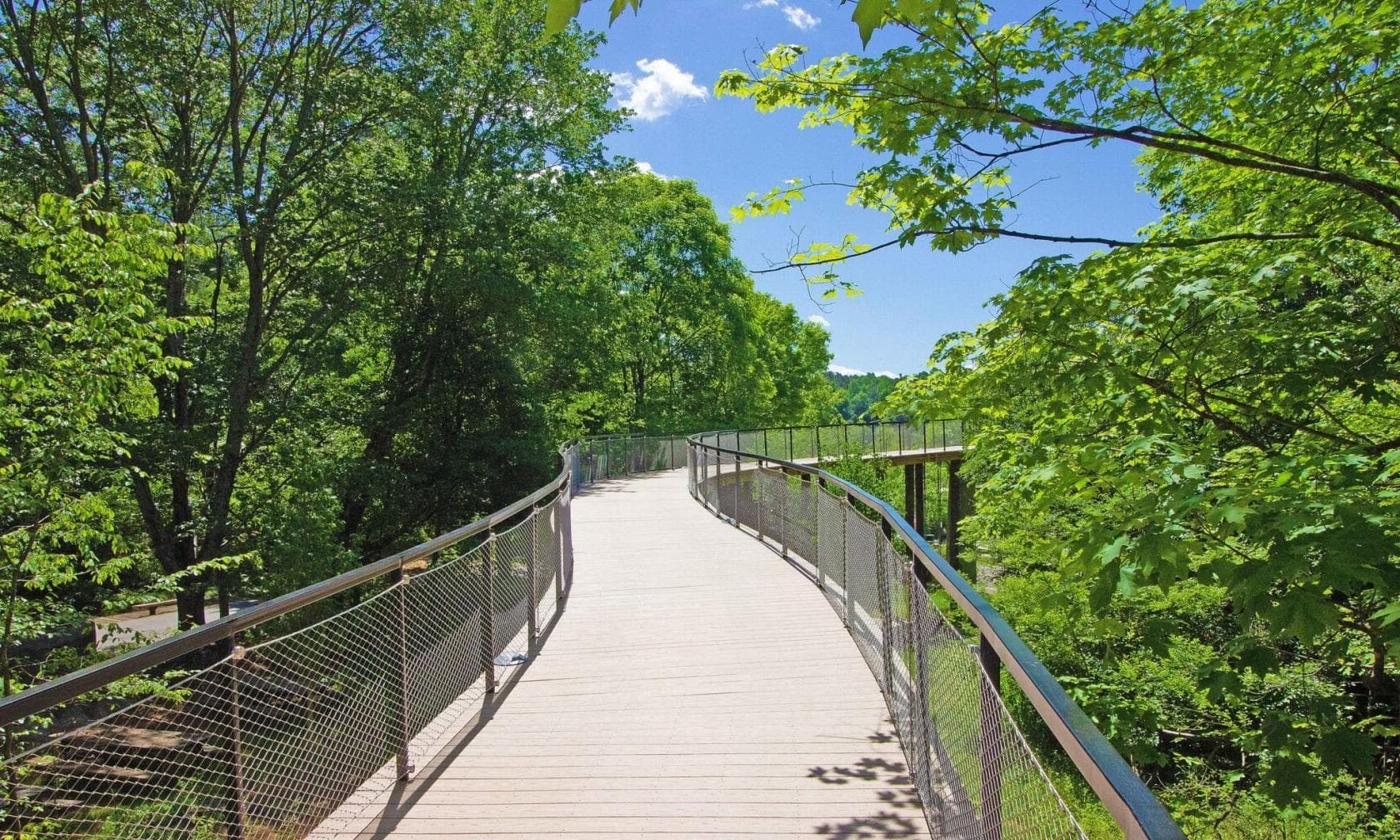 River Boardwalk, Chattahoochee Nature Center photo #1