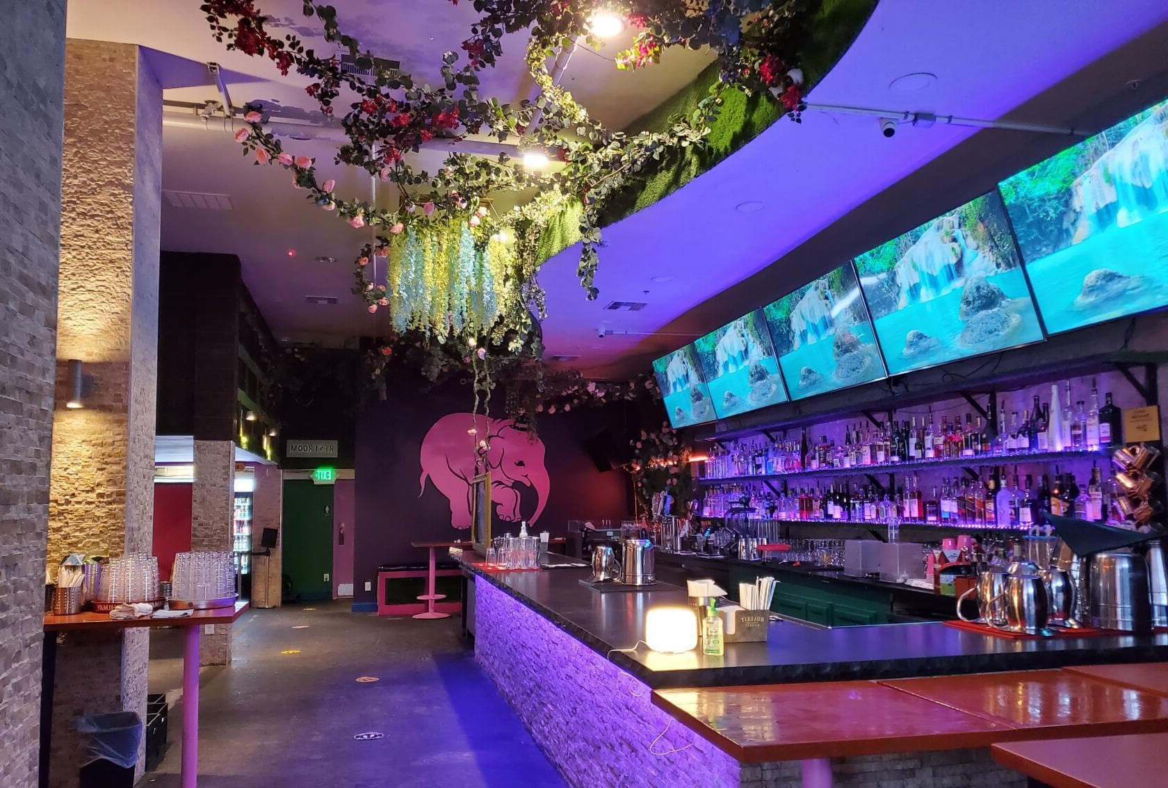 Pink Elephant, Inside Area, undefined photo #1