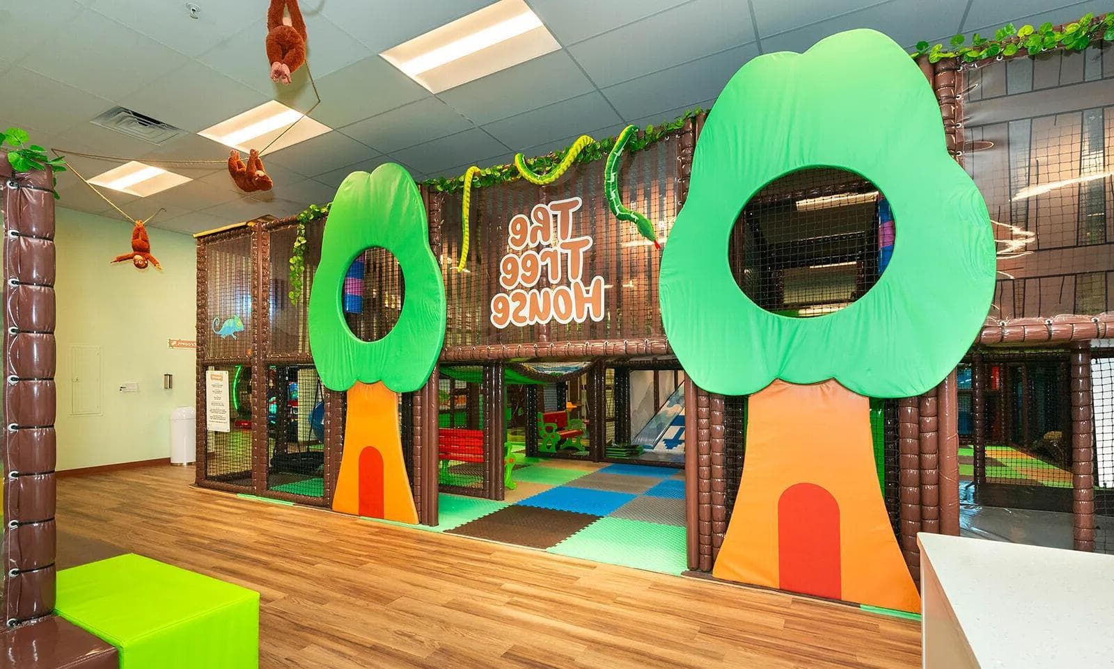 Entire Venue, The Tree House Indoor Playground & Cafe photo #1