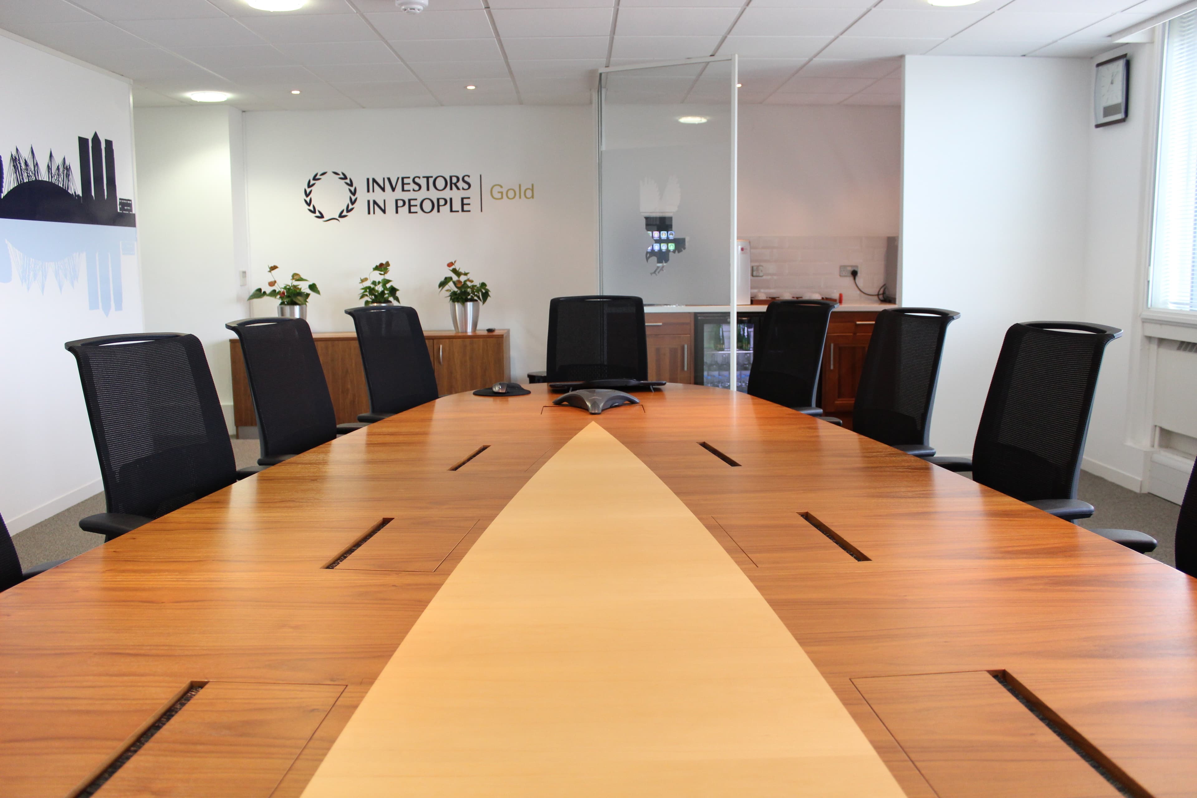 Studio One, Hawk Training photo #3