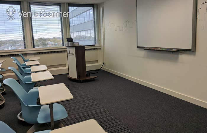 Studio Four, Hawk Training photo #3