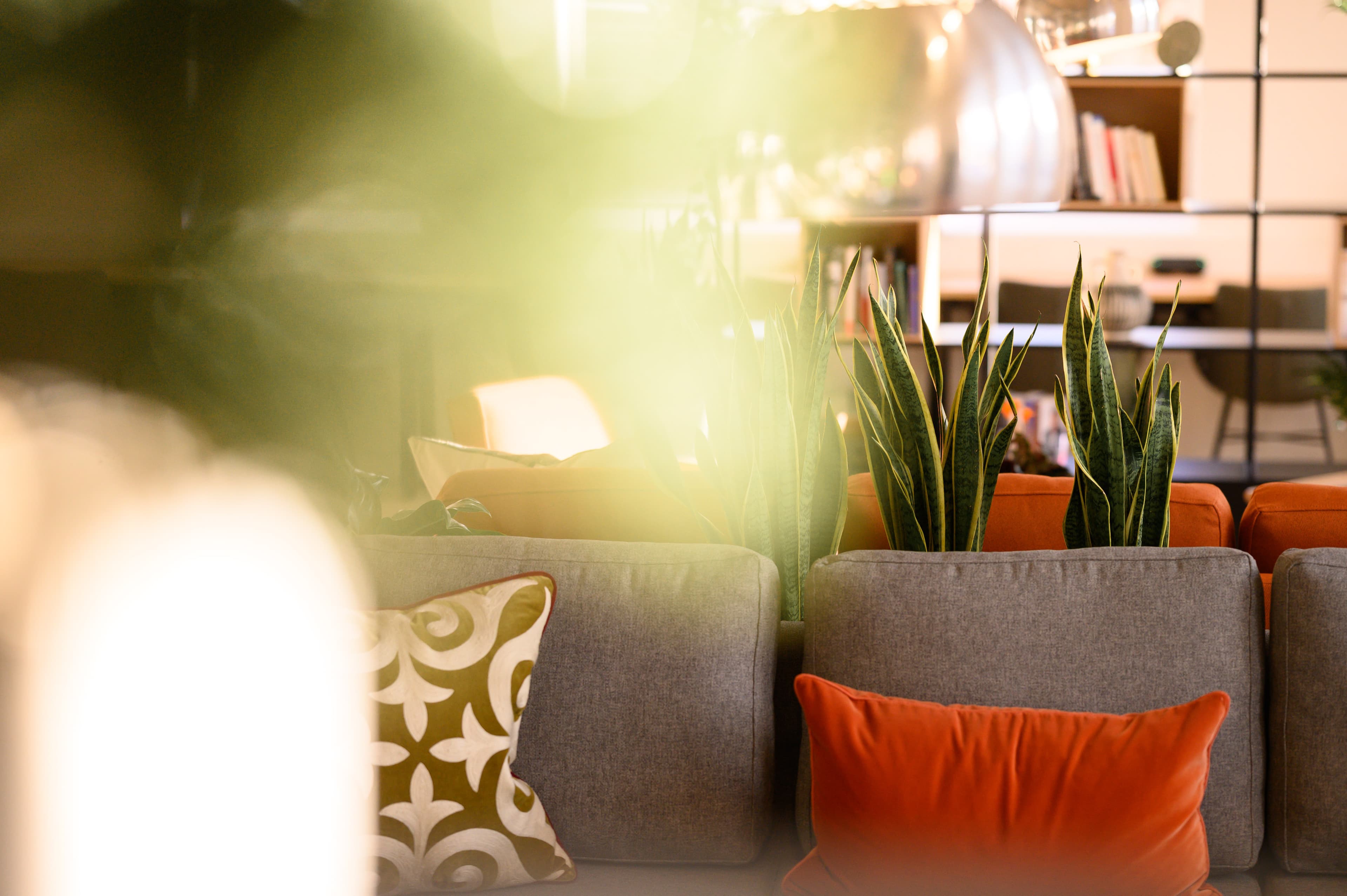 Networking Area (Event Space), The Quad (Oxford Summertown) photo #15
