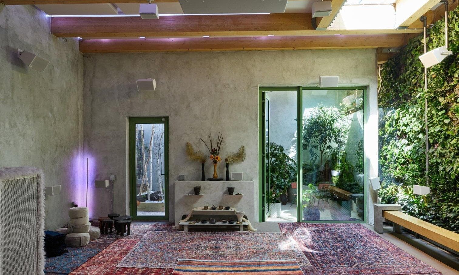 Casa Arbre, Casa Arbre photo #1