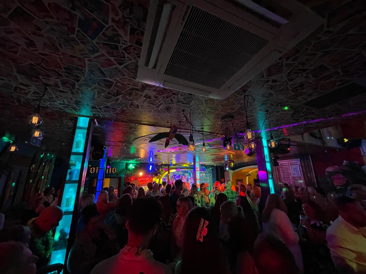 Exclusive Hire, Rumba photo #24