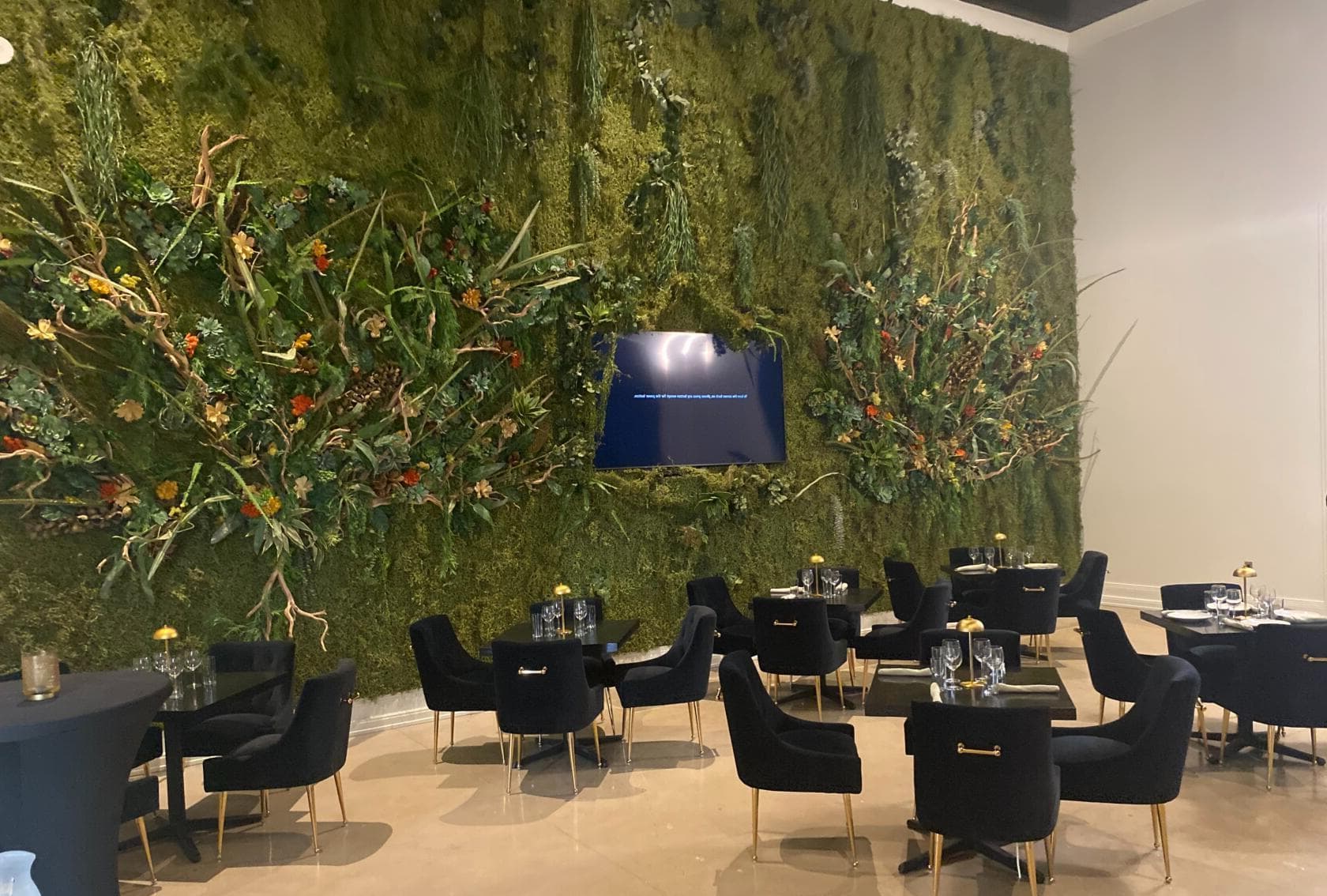 The Solarium, The Caspian photo #1