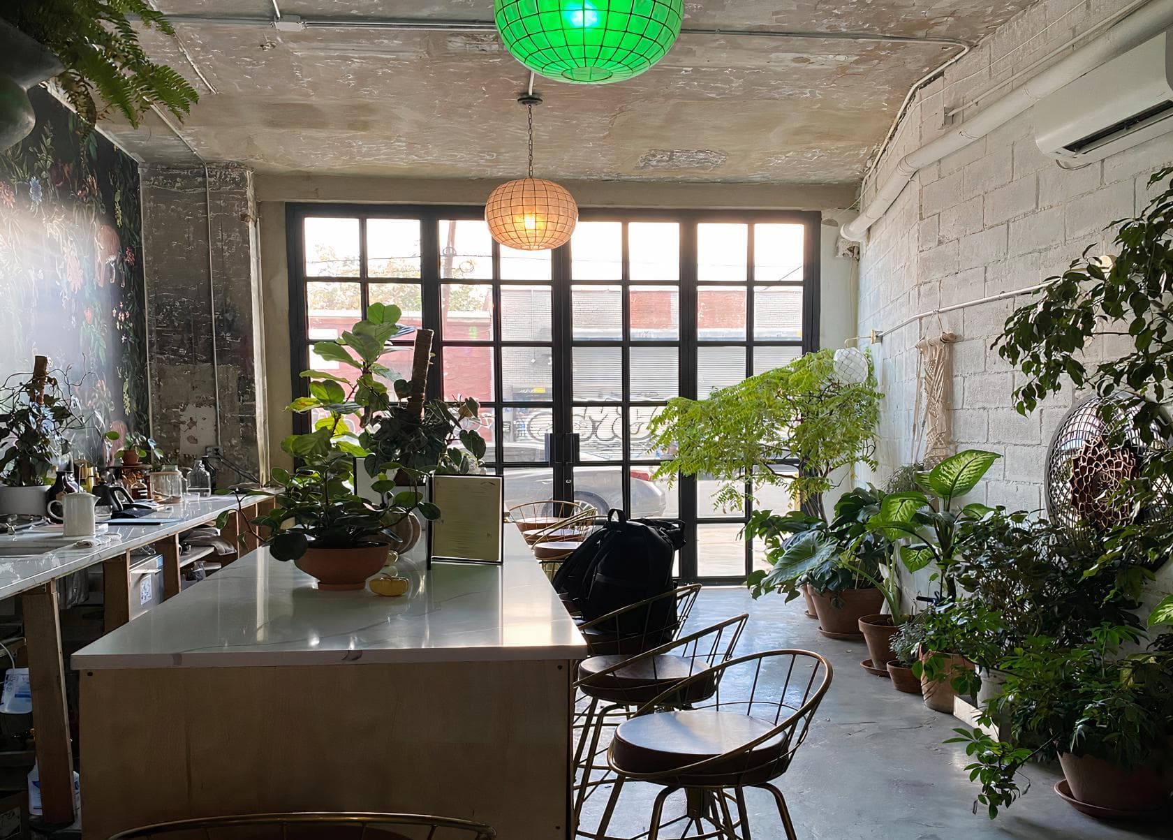 Whole Space, BKE Kombucha photo #1