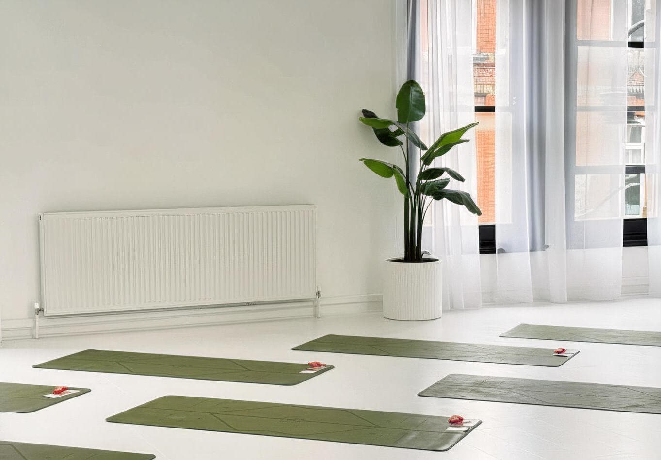 Studio 1, Haus of Sean Maloney photo #1