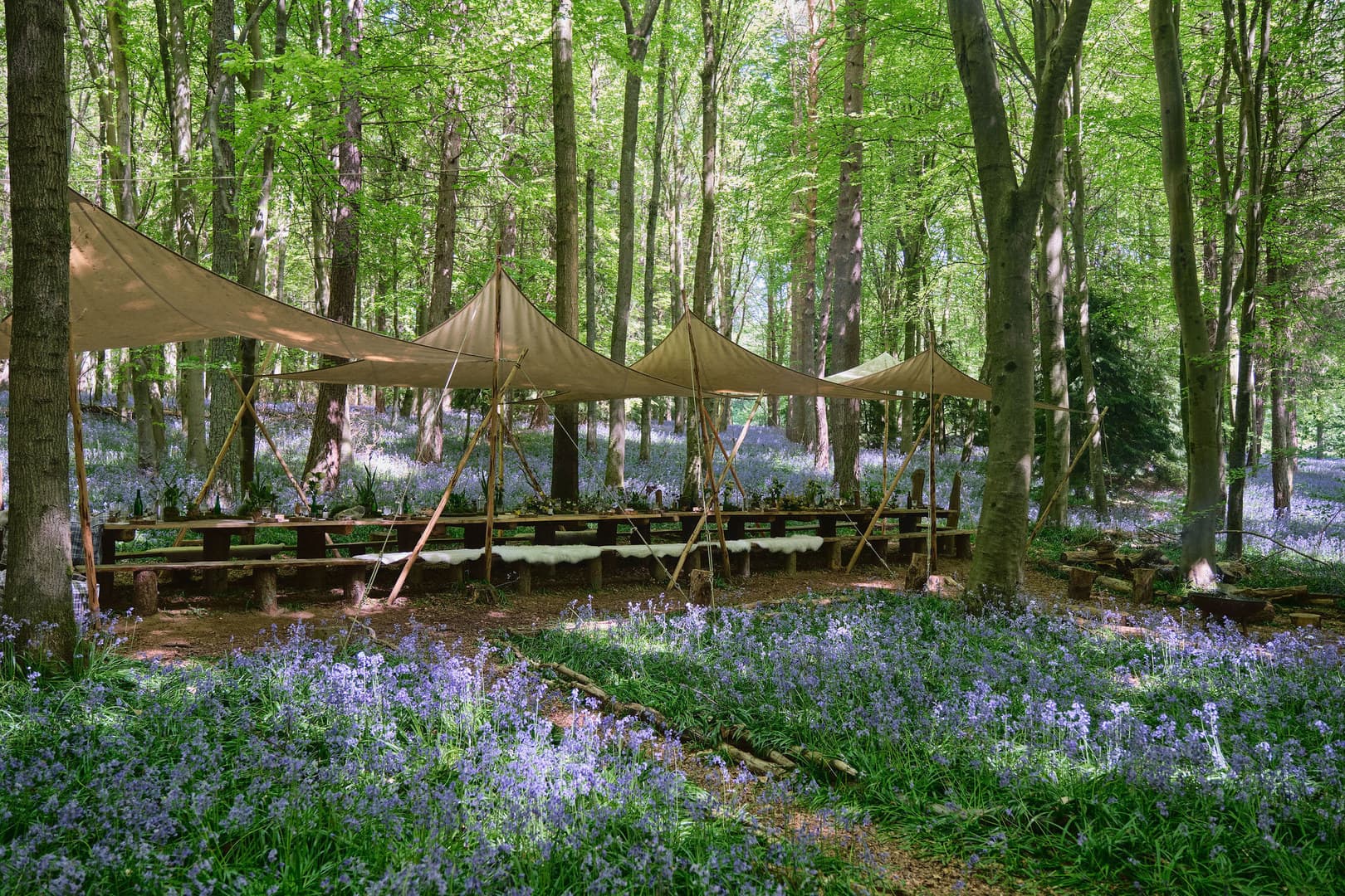 Exclusive Hire, Nomadic Dinners photo #21
