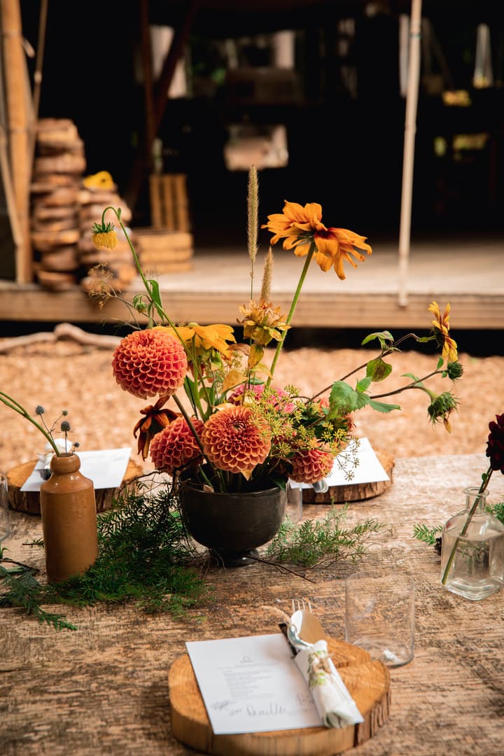 Festive Forest, Nomadic Dinners photo #29