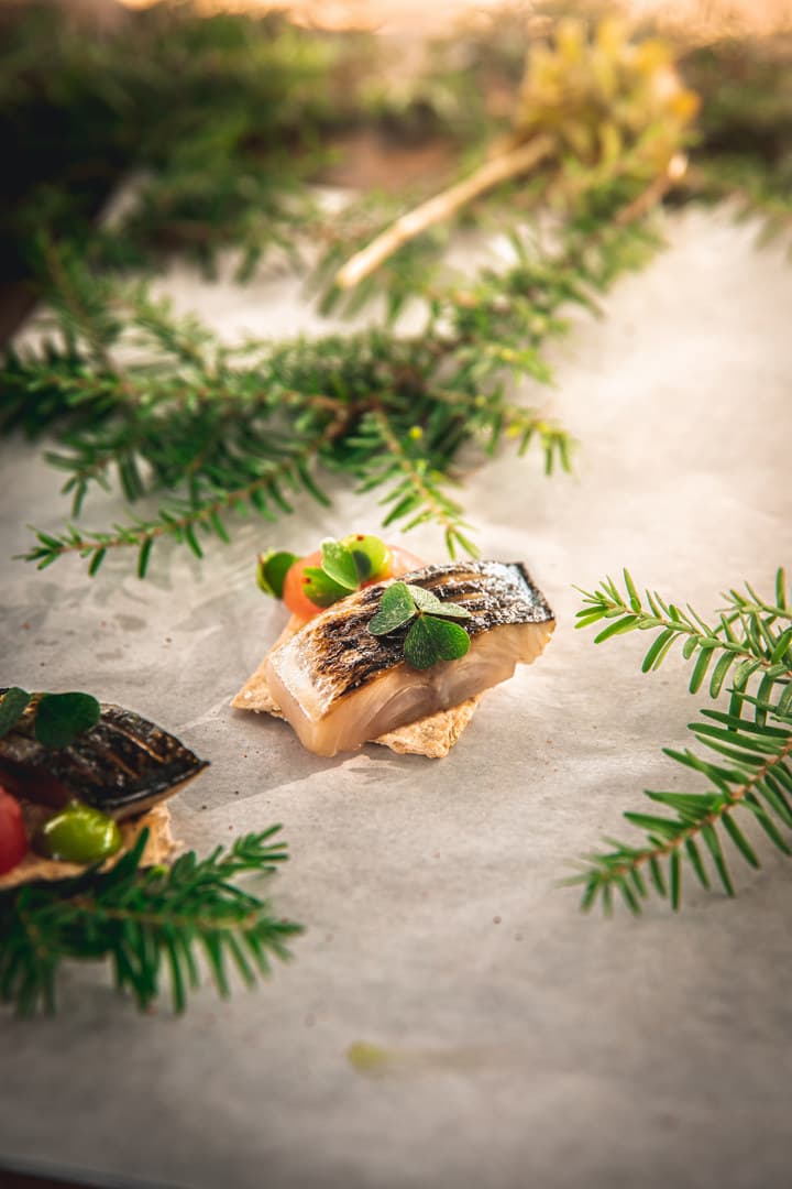 Festive Forest, Nomadic Dinners photo #28