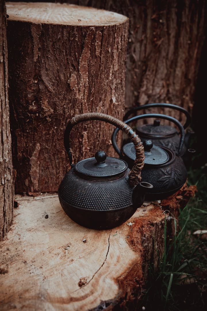 Festive Forest, Nomadic Dinners photo #32