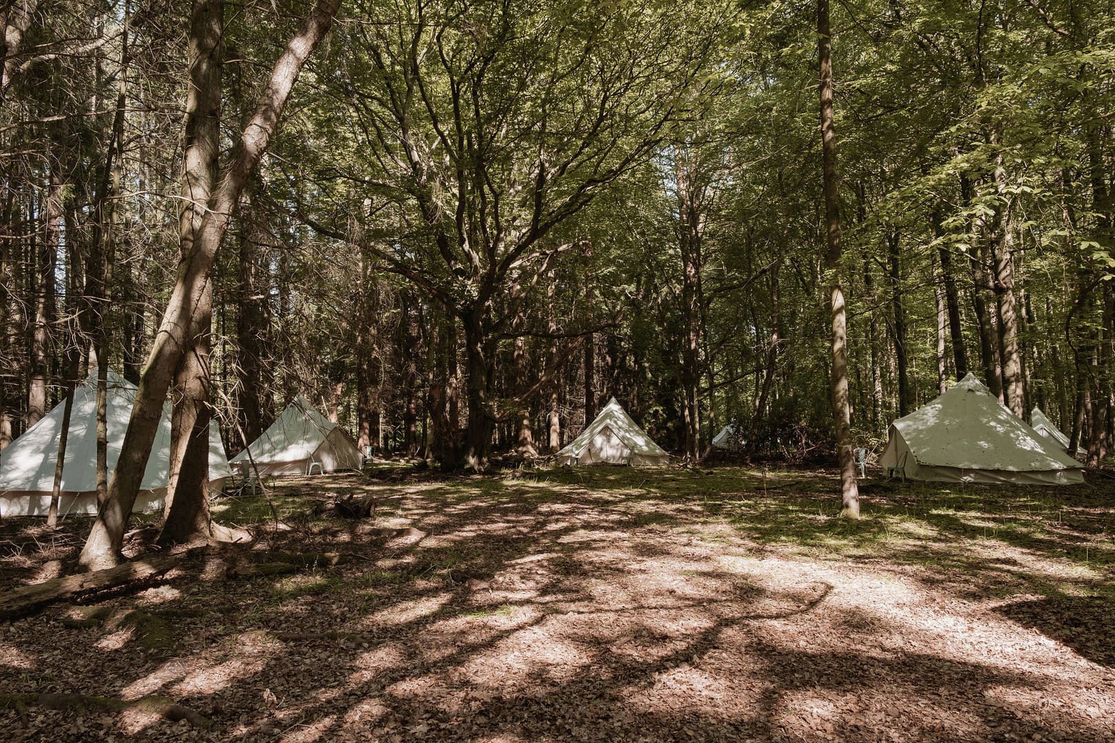 Exclusive Hire, Nomadic Dinners photo #26