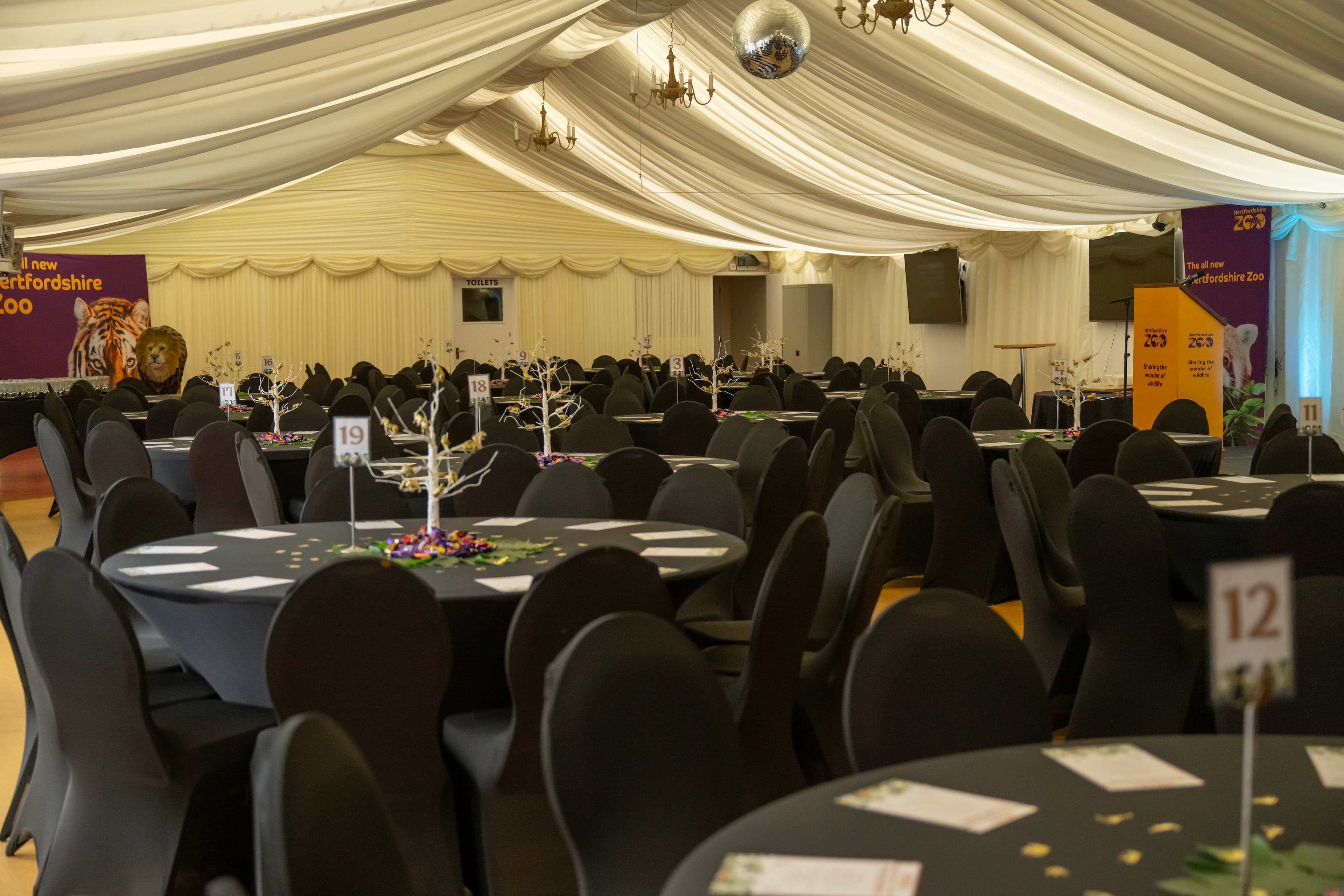 Photo of Hertfordshire Zoo, The Mane Venue