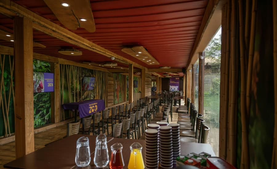 Tiger Venue, Hertfordshire Zoo photo #3