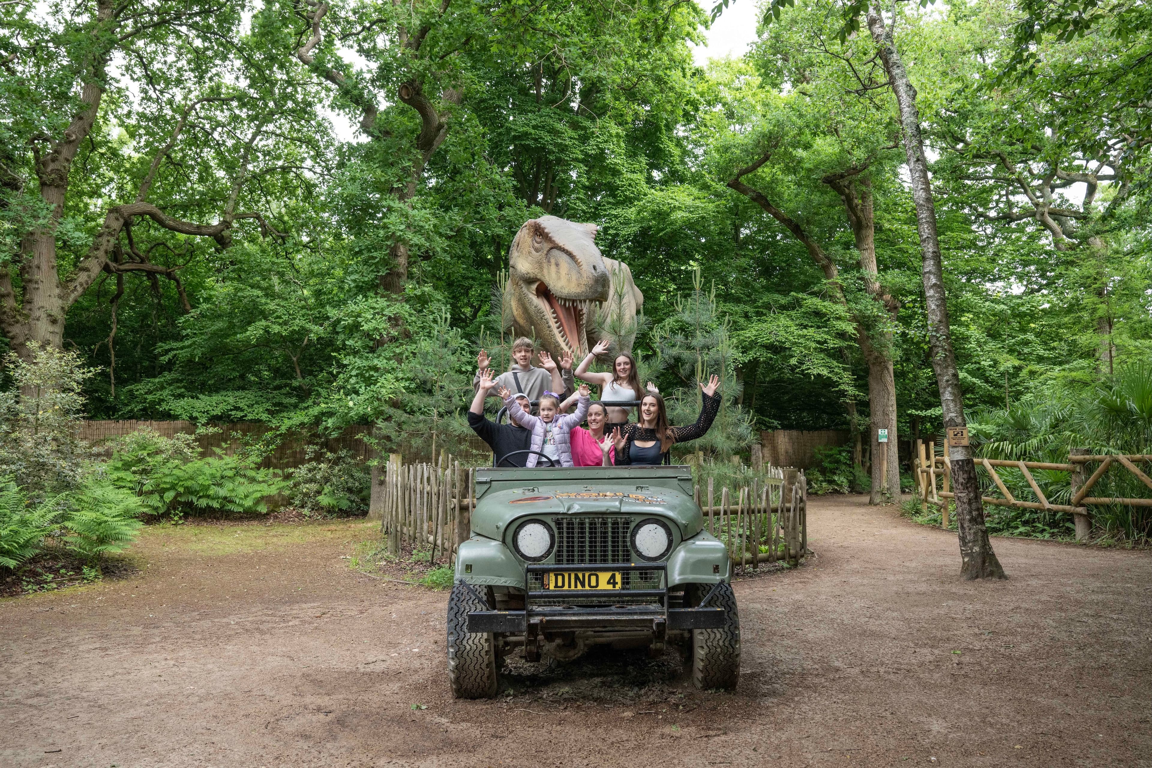Hertfordshire Zoo, The Mane Venue, undefined photo #14