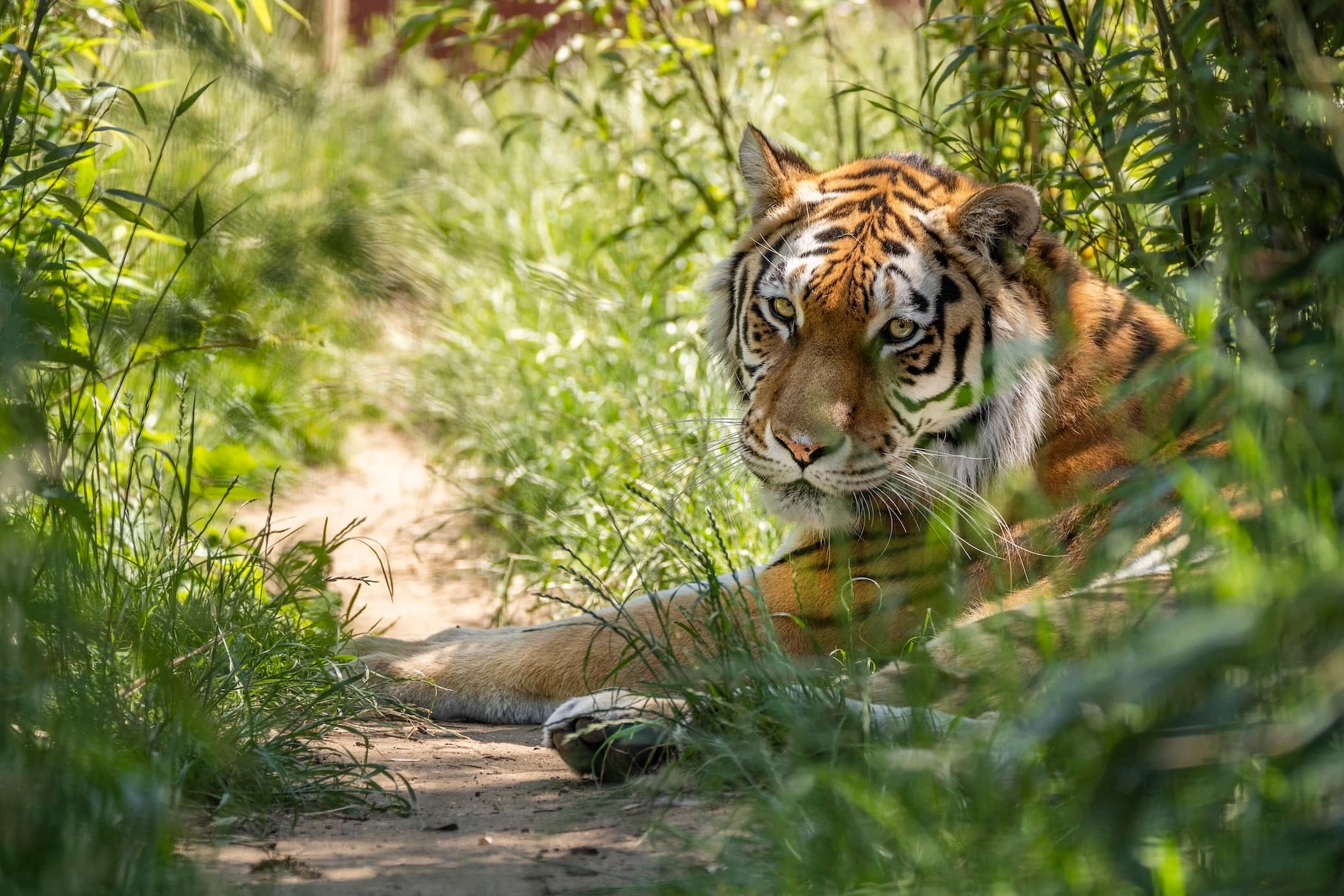 Photo of Hertfordshire Zoo, Whole Site