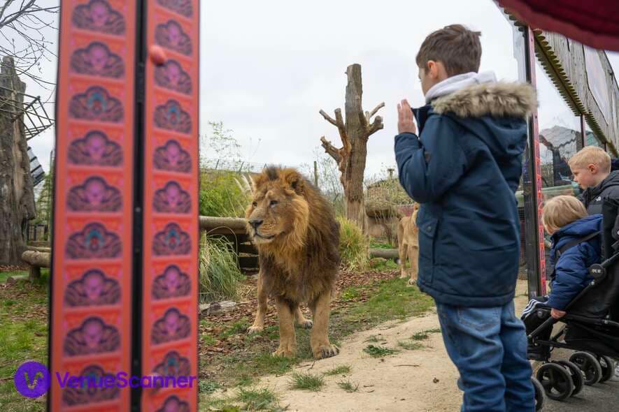 Hertfordshire Zoo photo #3