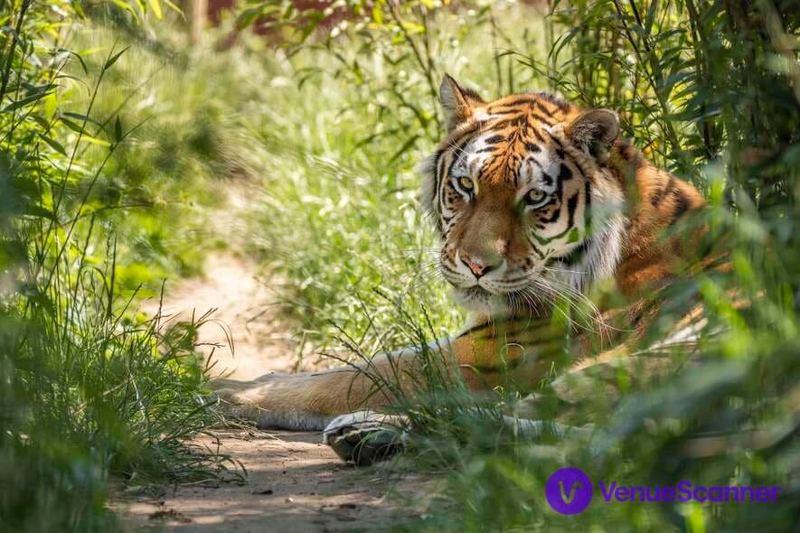 Hertfordshire Zoo, Zoo HQ Hub photo #3