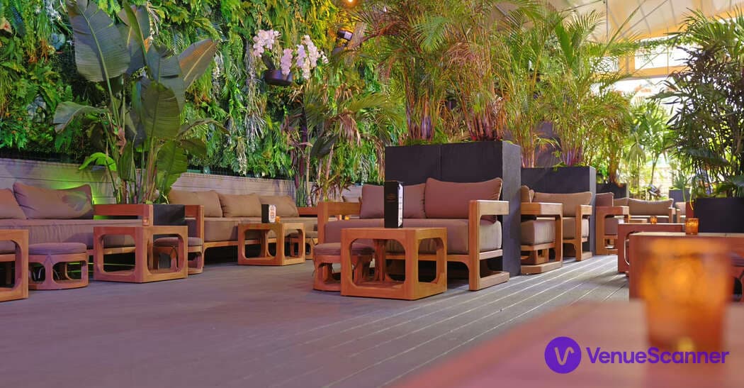 Rooftop, The Delancy photo #1