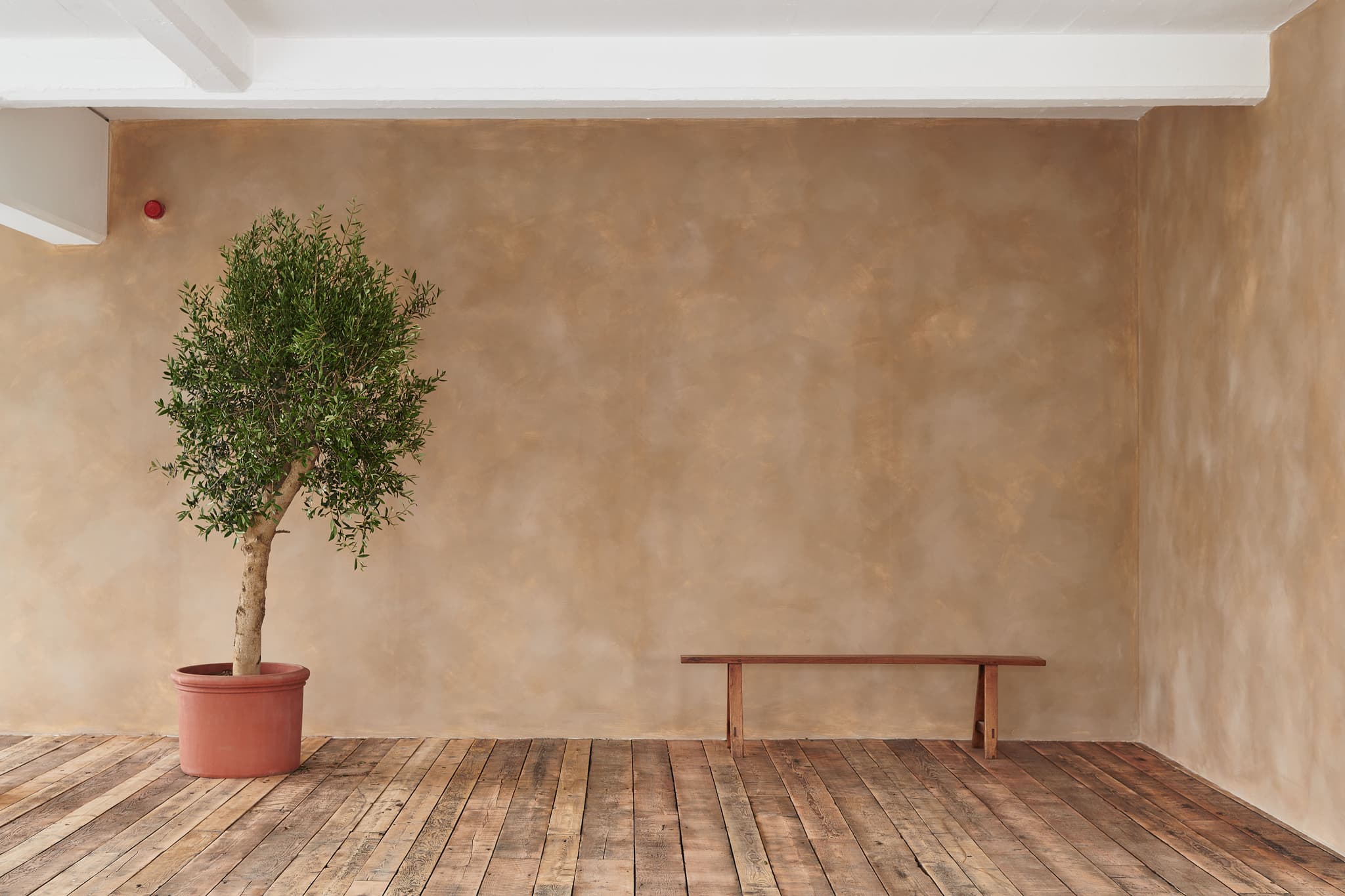 Wimborne House, Lounge photo #2