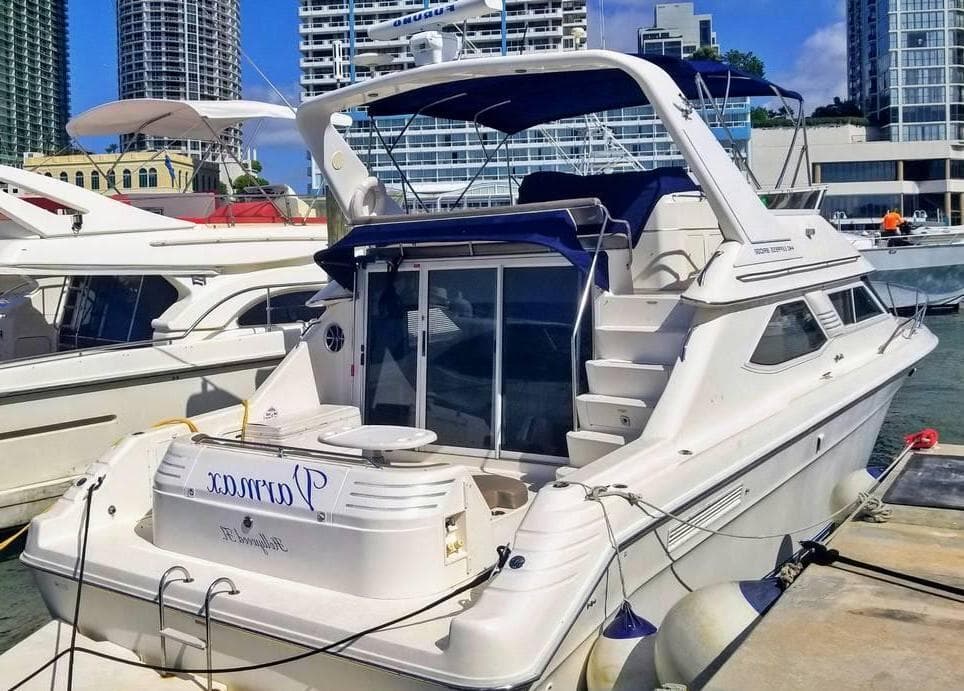 44' Sea Ray, Boat Charters photo #1