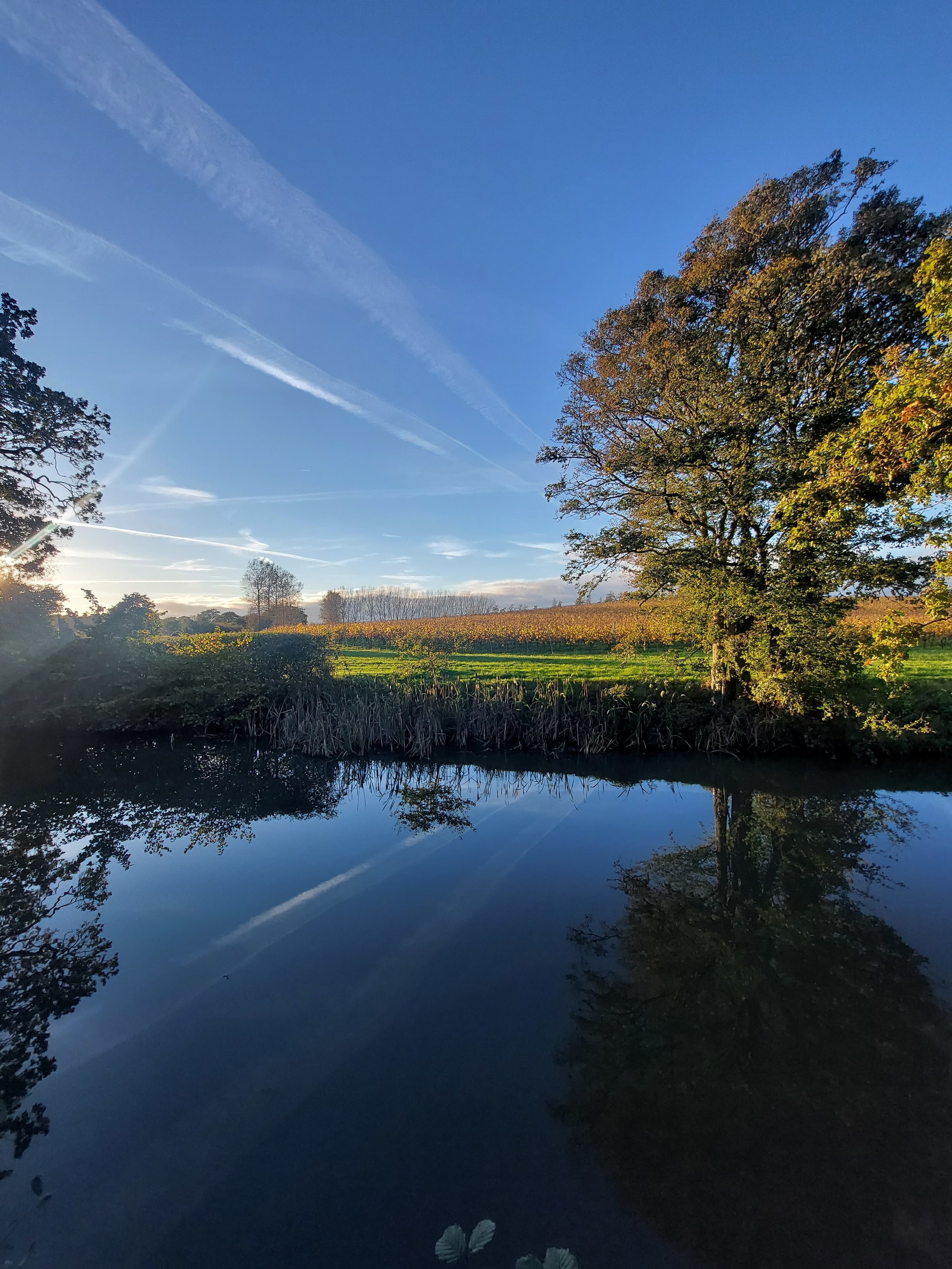 Exclusive Hire, Albourne Estate photo #31