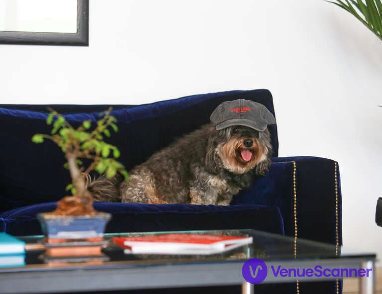 Matrix Studios photo #3