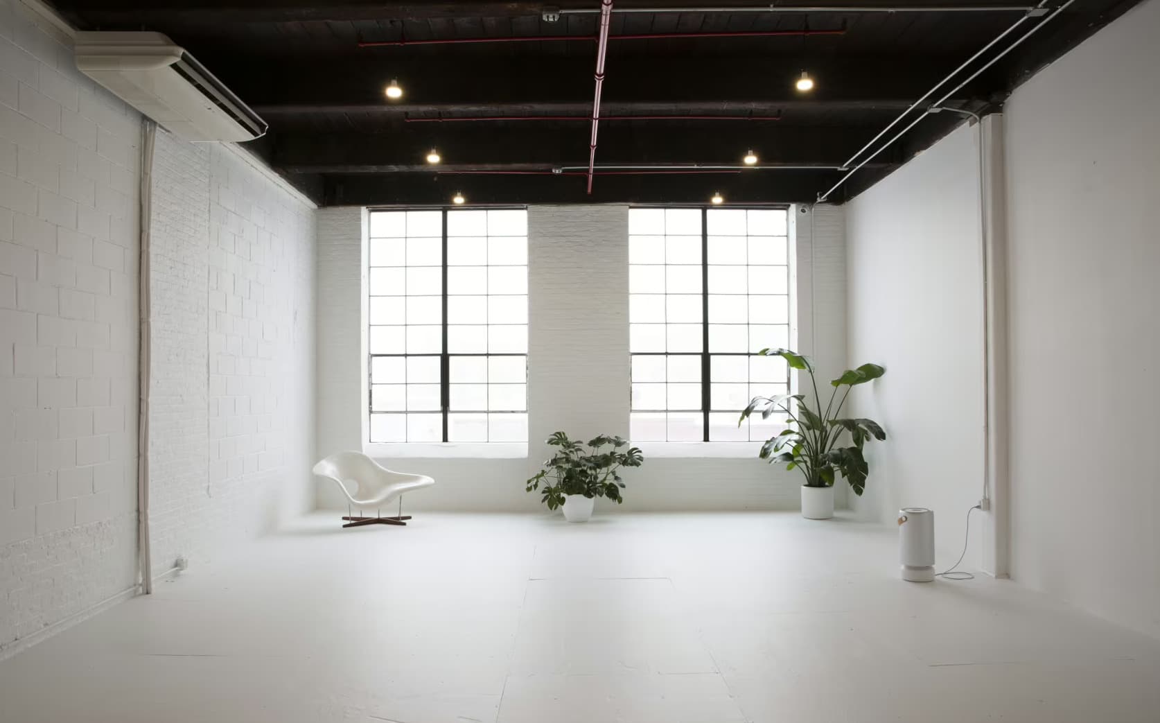 Thank You Studio, Please Space photo #2