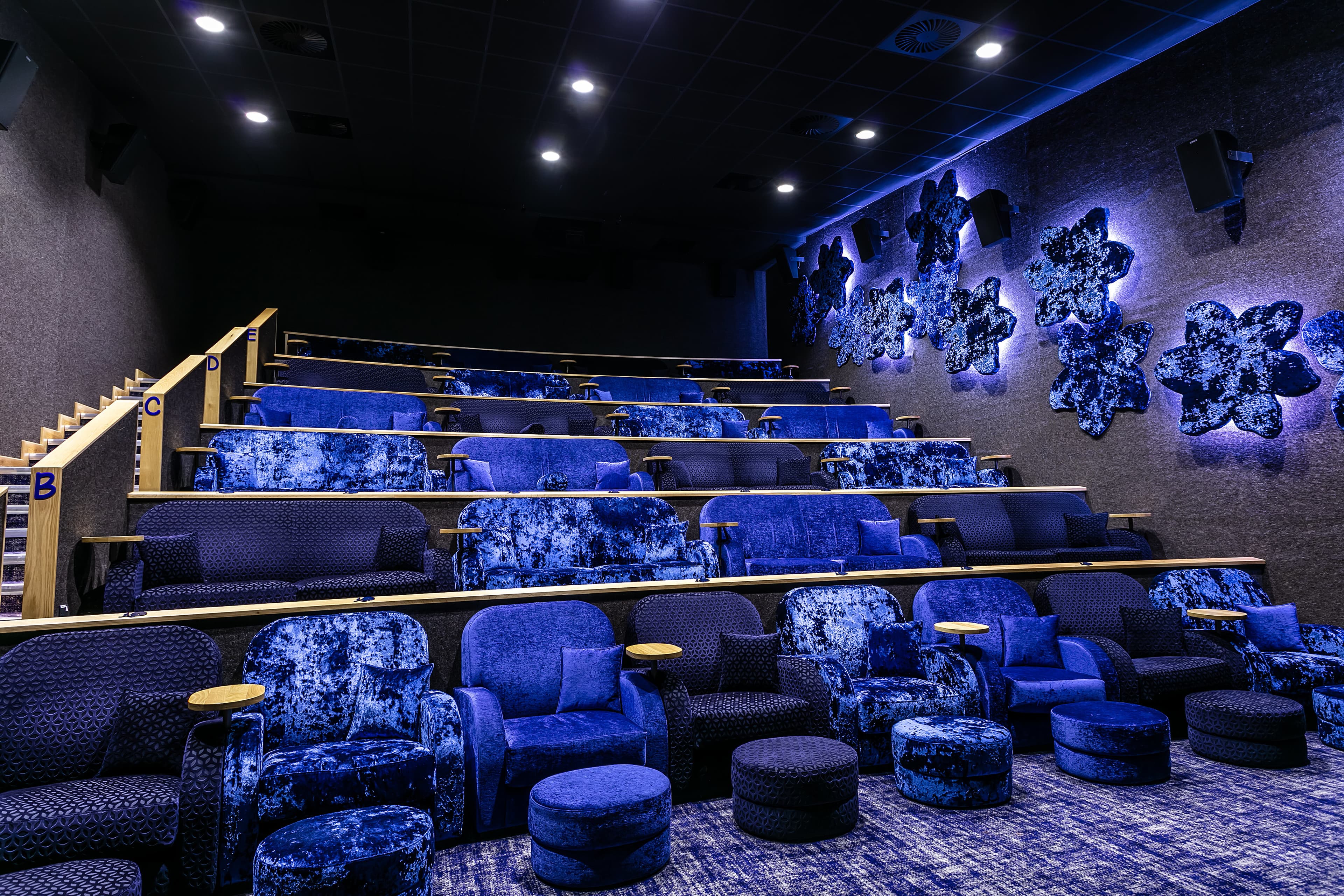 Private Cinema Hire, The Flower Bowl Entertainment Centre photo #3