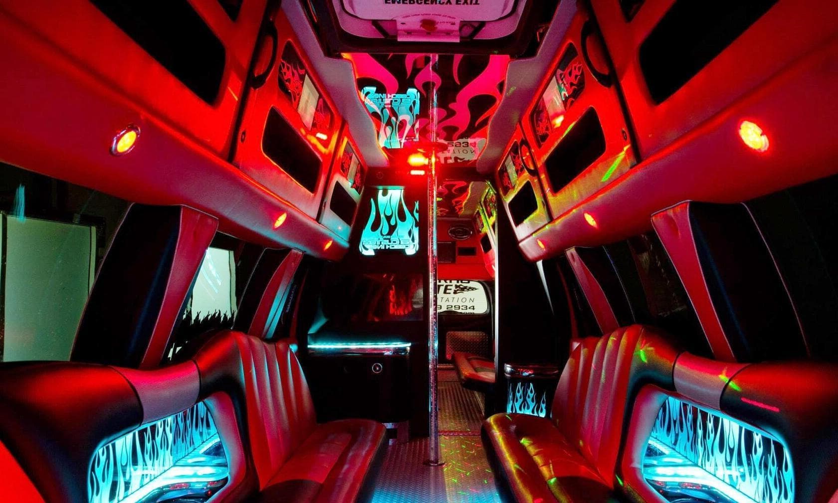 Entire Bus, Nocturnal Tours photo #1