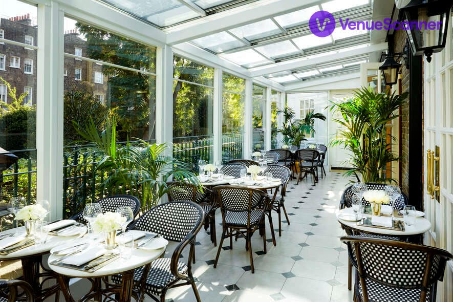 Leopard Bar Terrace, The Montague On The Gardens photo #1