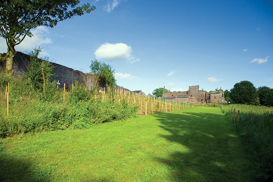 Exclusive Hire, Kirklinton Hall & Gardens photo #6