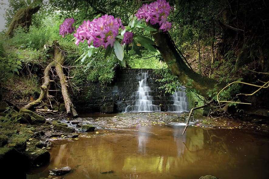 Exclusive Hire, Kirklinton Hall & Gardens photo #9