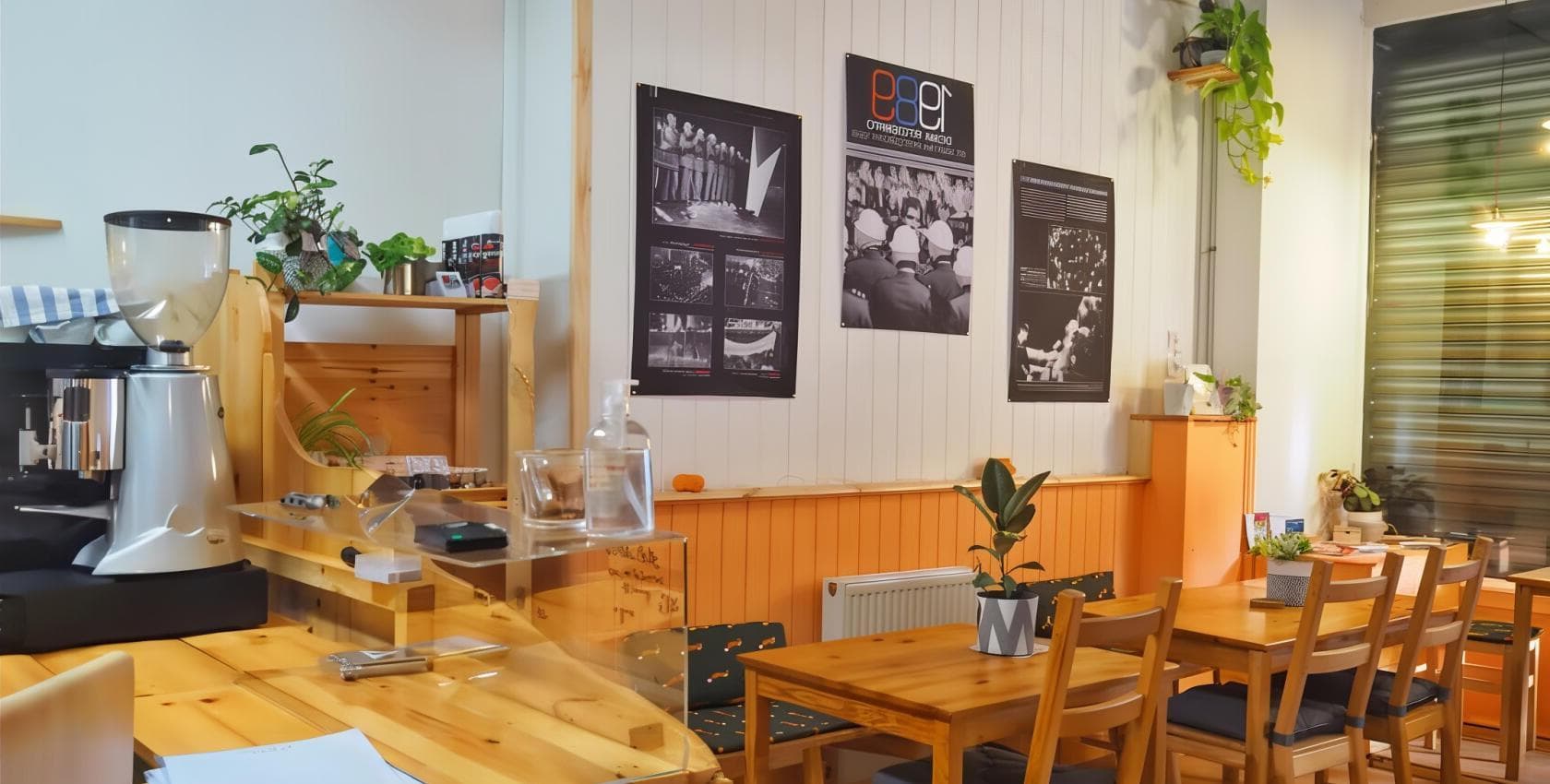 Indoor Space, The Sly Fox photo #1