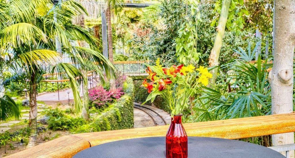 Monarch Garden Atrium