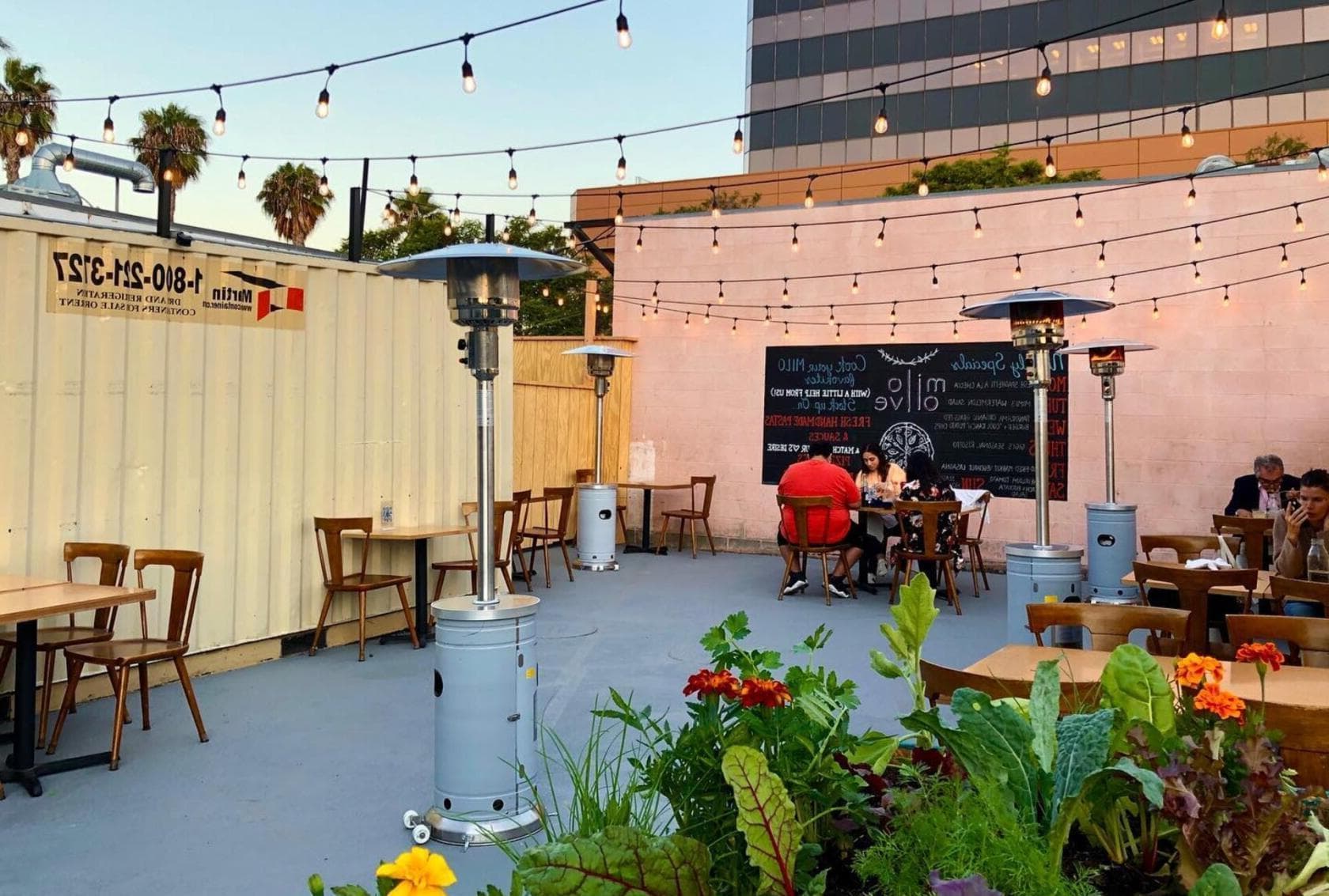 Patio, Milo & Olive photo #1