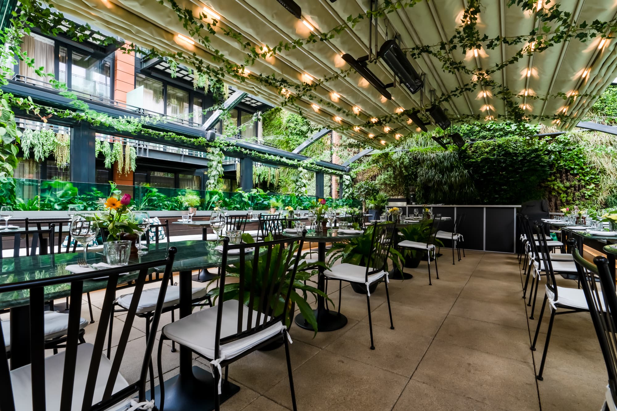 The Terrace, Terra Terra photo #3